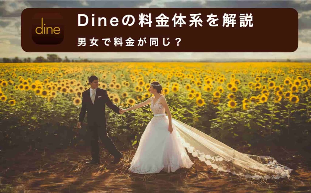 【最新】Dine(ダイン)の料金体系を解説！男女で料金が同じ？
